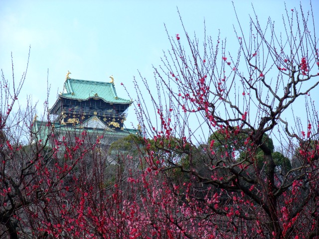 f:id:SAKI001:20180218142322j:image