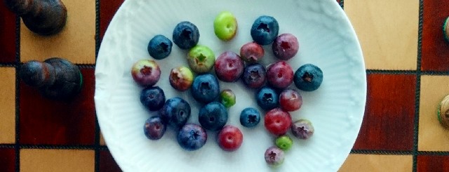 f:id:SAKI001:20180622131005j:image f:id:SAKI001:20180622131005j:image