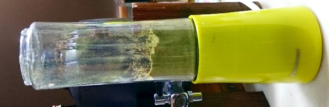 f:id:SAKI001:20181130091440j:image