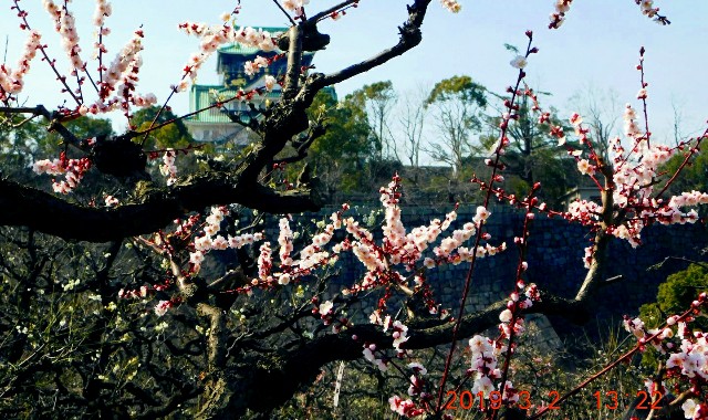 f:id:SAKI001:20190302161735j:image