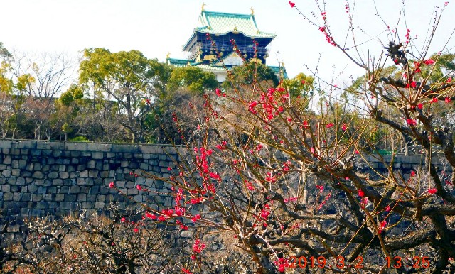 f:id:SAKI001:20190302161809j:image