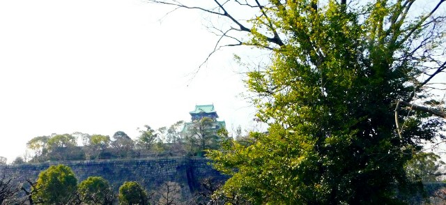 f:id:SAKI001:20190302162228j:image