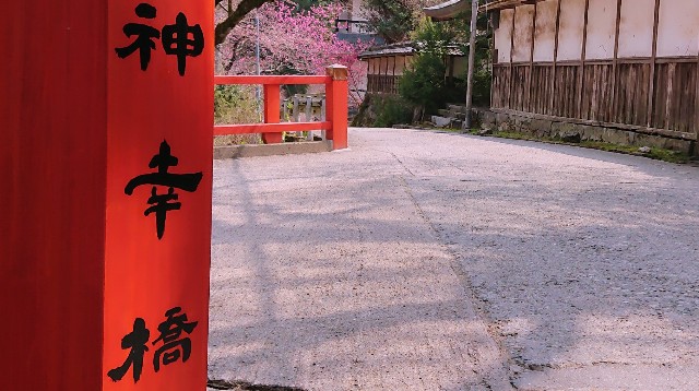 f:id:SAKI001:20190406204556j:image f:id:SAKI001:20190406204556j:image