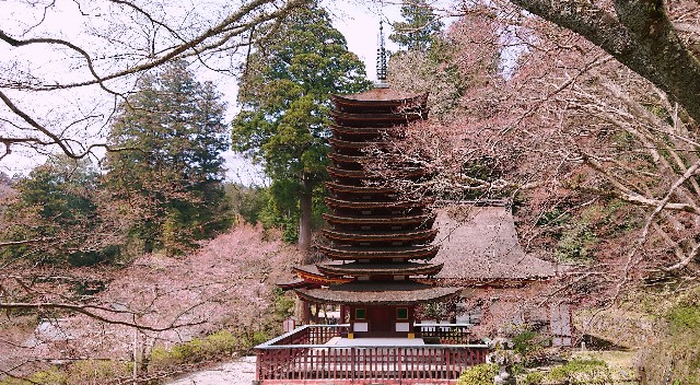 f:id:SAKI001:20190406204654j:image f:id:SAKI001:20190406204654j:image