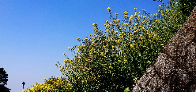 f:id:SAKI001:20190406205428j:image f:id:SAKI001:20190406205428j:image