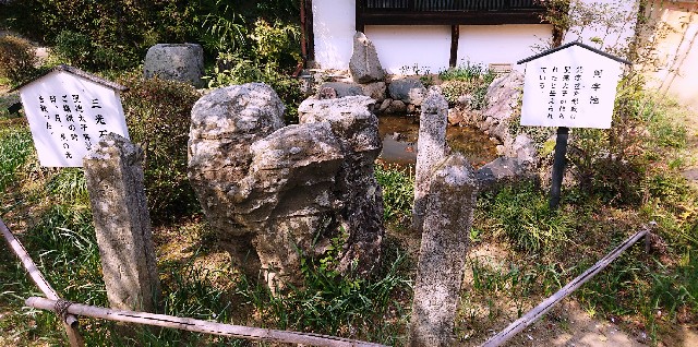 f:id:SAKI001:20190406205806j:image f:id:SAKI001:20190406205806j:image