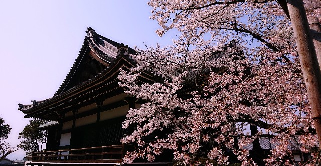 f:id:SAKI001:20190406205843j:image f:id:SAKI001:20190406205843j:image