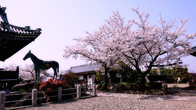 f:id:SAKI001:20190406205924j:image f:id:SAKI001:20190406205924j:image