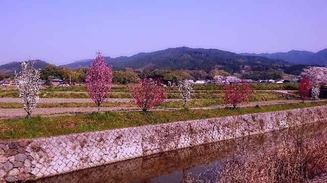 f:id:SAKI001:20190406210132j:image f:id:SAKI001:20190406210132j:image