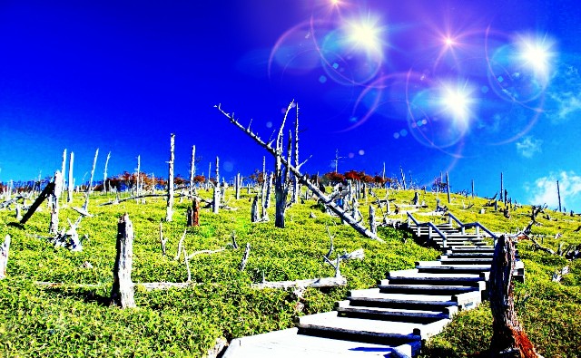 f:id:SAKI001:20190501164106j:image f:id:SAKI001:20190501164106j:image