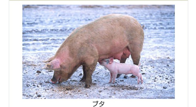 f:id:SAKI001:20190506220644j:image