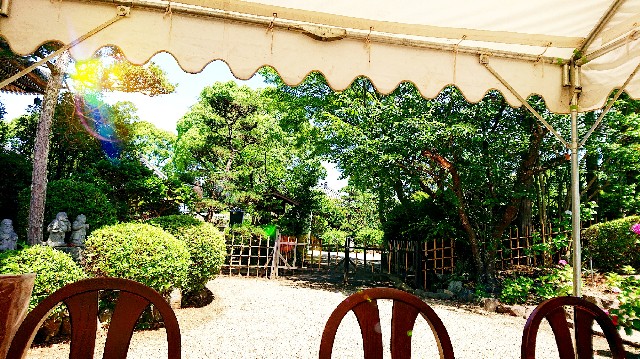 f:id:SAKI001:20190616170149j:image