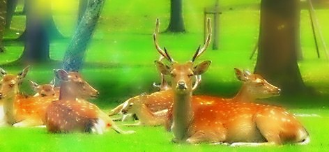 f:id:SAKI001:20190630111601j:image f:id:SAKI001:20190630111601j:image