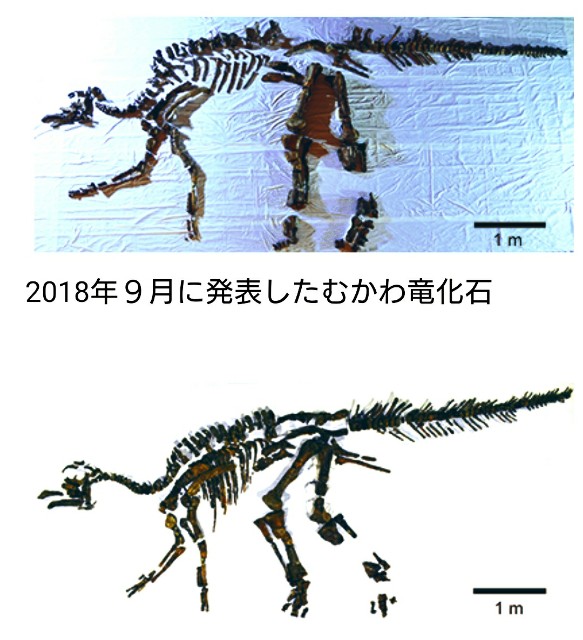 f:id:SAKI001:20190707211958j:image f:id:SAKI001:20190707211958j:image