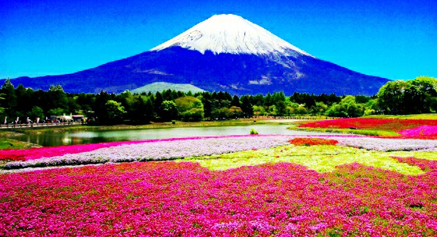 f:id:SAKI001:20190718233443j:image f:id:SAKI001:20190718233443j:image