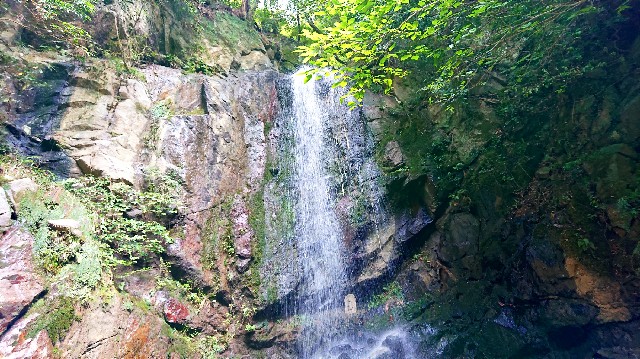 f:id:SAKI001:20190807155045j:image f:id:SAKI001:20190807155045j:image