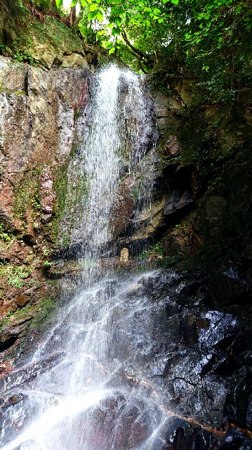 f:id:SAKI001:20190807155058j:image f:id:SAKI001:20190807155058j:image