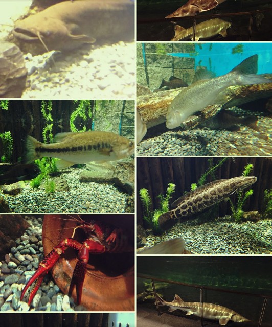 f:id:SAKI001:20190914184411j:image