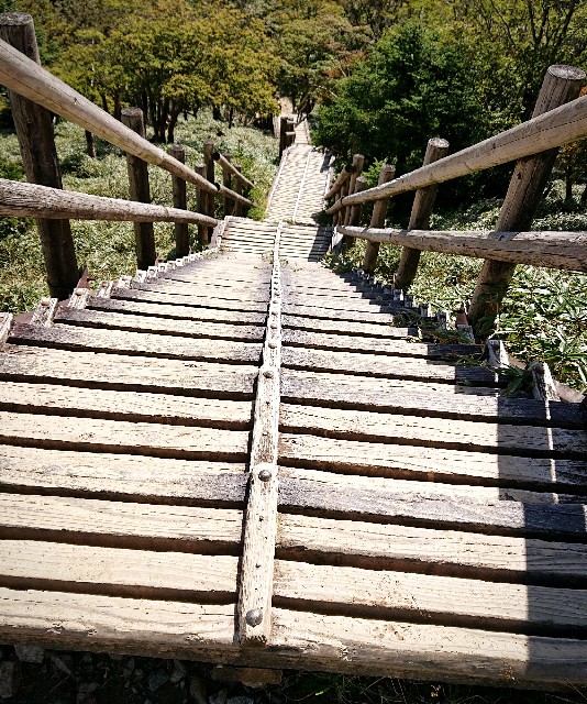 f:id:SAKI001:20190925194559j:image f:id:SAKI001:20190925194559j:image