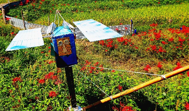 f:id:SAKI001:20190926135947j:image