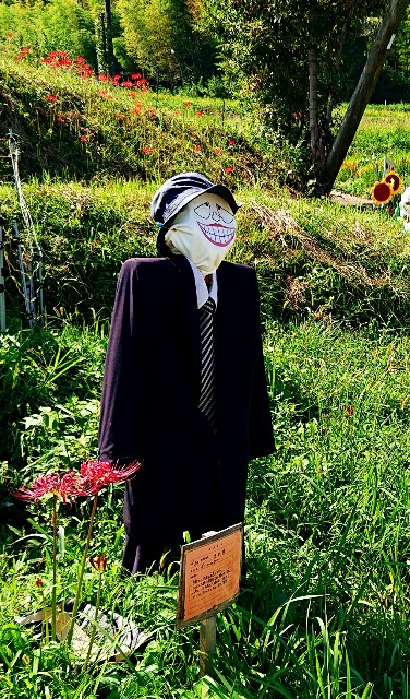 f:id:SAKI001:20190926140039j:image