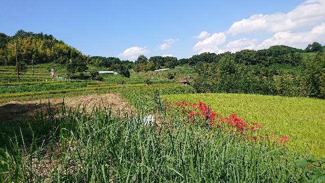 f:id:SAKI001:20190926140731j:image