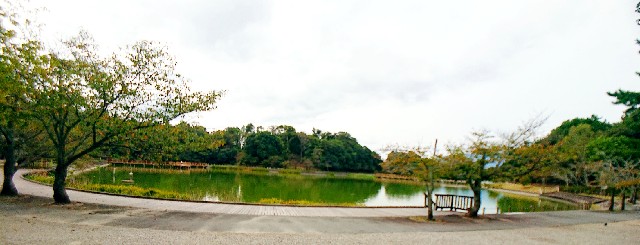 f:id:SAKI001:20190927115022j:image