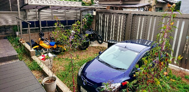 f:id:SAKI001:20190927115228j:image