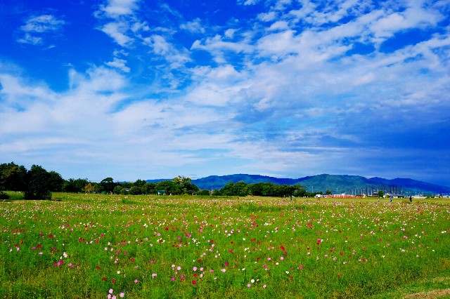 f:id:SAKI001:20191007174509j:image