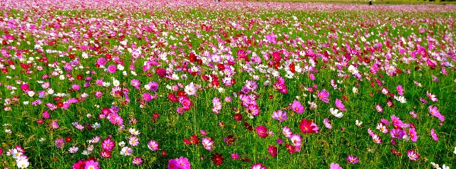 f:id:SAKI001:20191007174625j:image