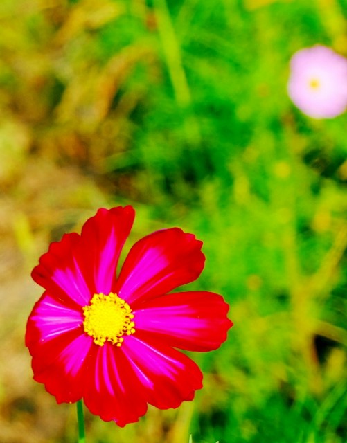 f:id:SAKI001:20191007174709j:image