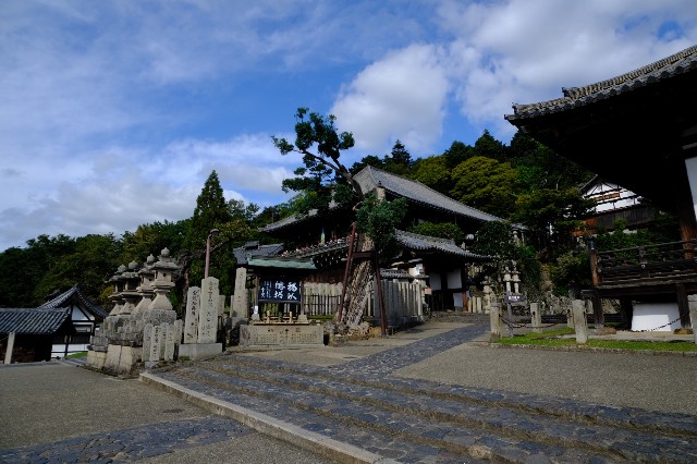 f:id:SAKI001:20191011173243j:image