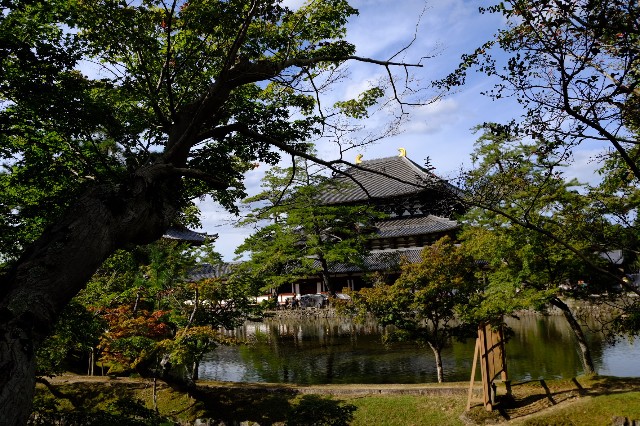 f:id:SAKI001:20191011173309j:image
