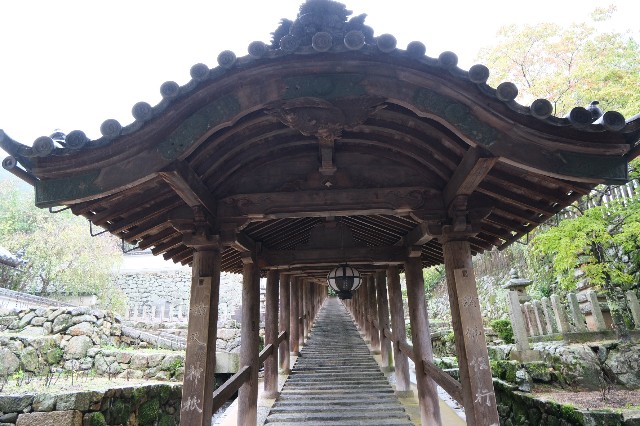 f:id:SAKI001:20191012142321j:image f:id:SAKI001:20191012142321j:image