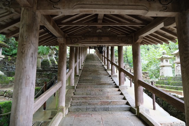 f:id:SAKI001:20191012142437j:image f:id:SAKI001:20191012142437j:image