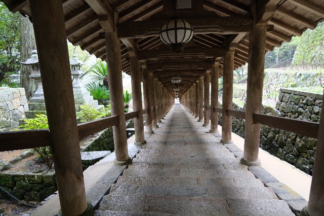 f:id:SAKI001:20191012142502j:image f:id:SAKI001:20191012142502j:image