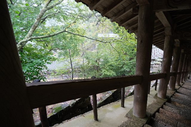 f:id:SAKI001:20191012142518j:image f:id:SAKI001:20191012142518j:image