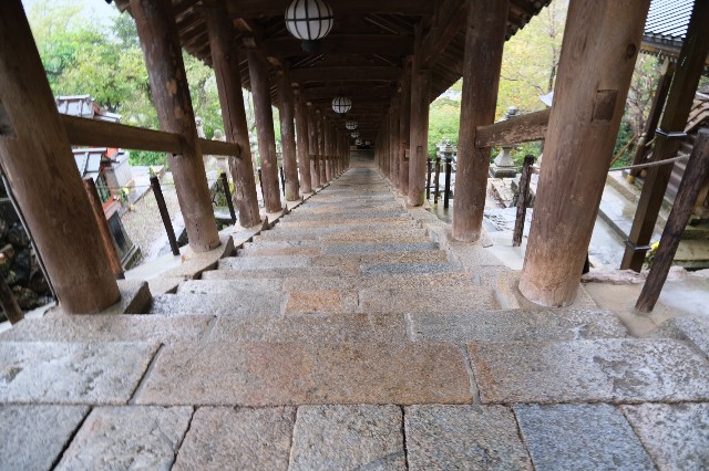 f:id:SAKI001:20191012142705j:image f:id:SAKI001:20191012142705j:image