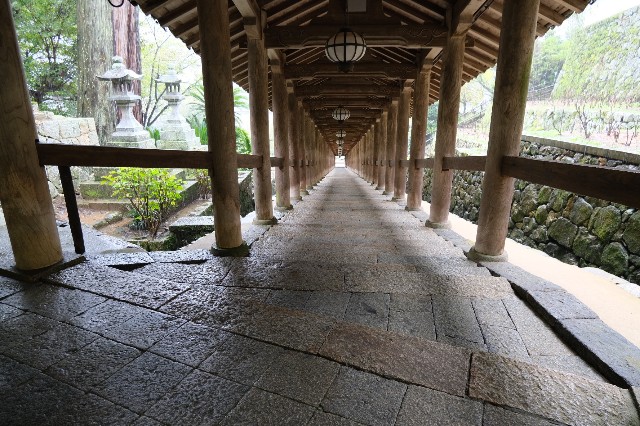 f:id:SAKI001:20191012143156j:image f:id:SAKI001:20191012143156j:image