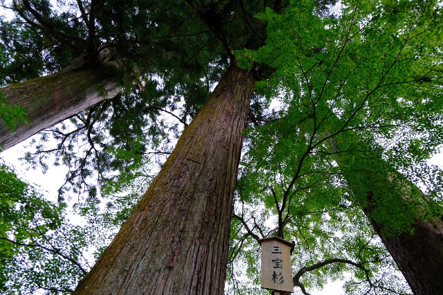 f:id:SAKI001:20191017183321j:image