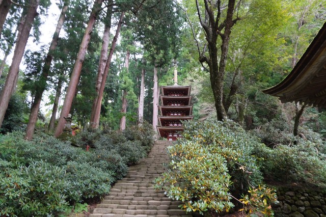 f:id:SAKI001:20191017183426j:image