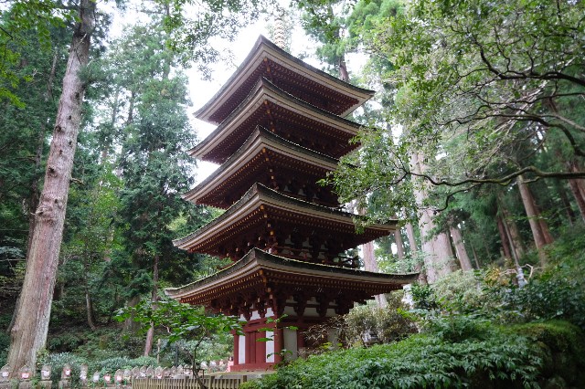 f:id:SAKI001:20191017183454j:image