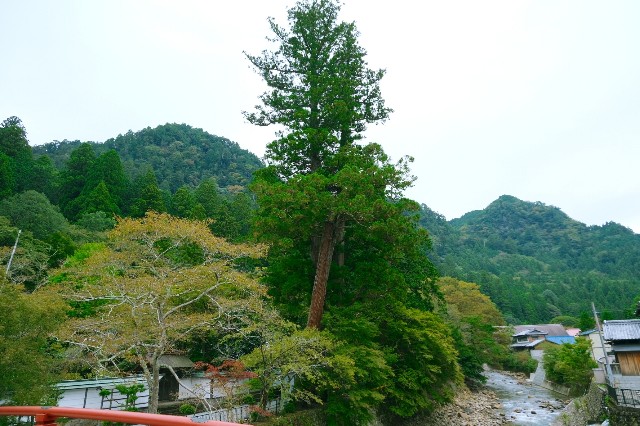 f:id:SAKI001:20191017183822j:image