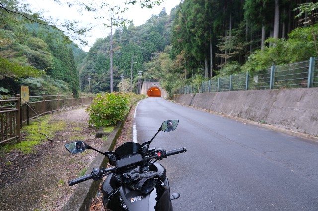 f:id:SAKI001:20191017183837j:image