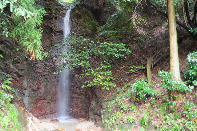 f:id:SAKI001:20191019121413j:image