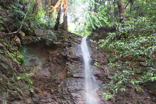 f:id:SAKI001:20191019121427j:image