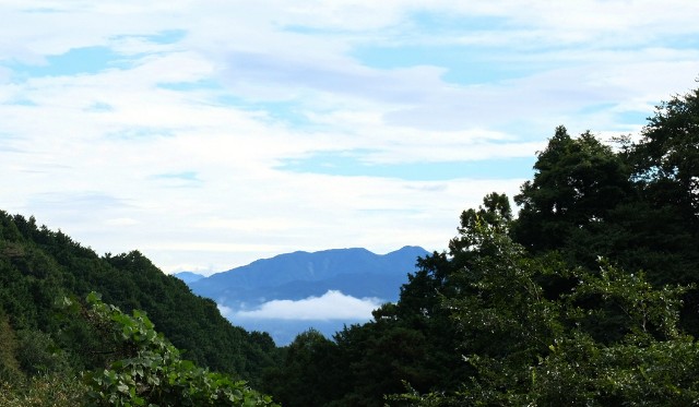 f:id:SAKI001:20191019121643j:image