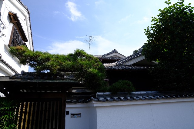 f:id:SAKI001:20191031172639j:image