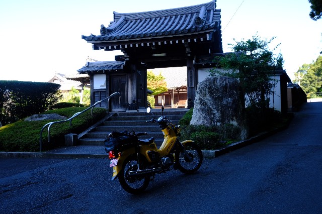 f:id:SAKI001:20191102143134j:image