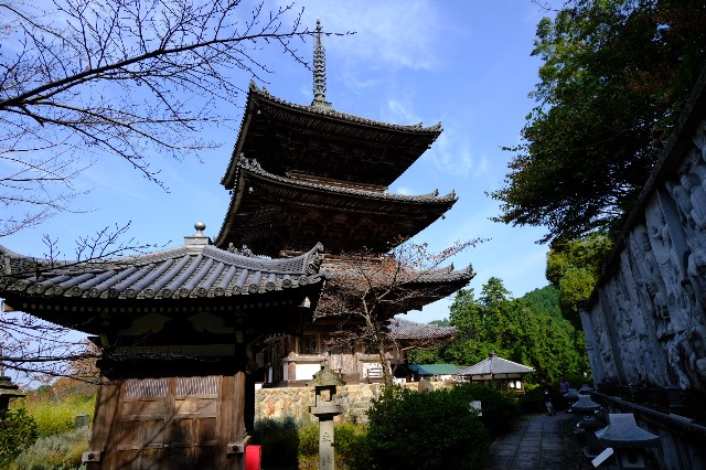 f:id:SAKI001:20191103202457j:image